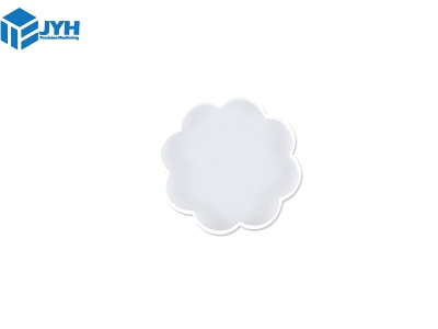 silastic mould